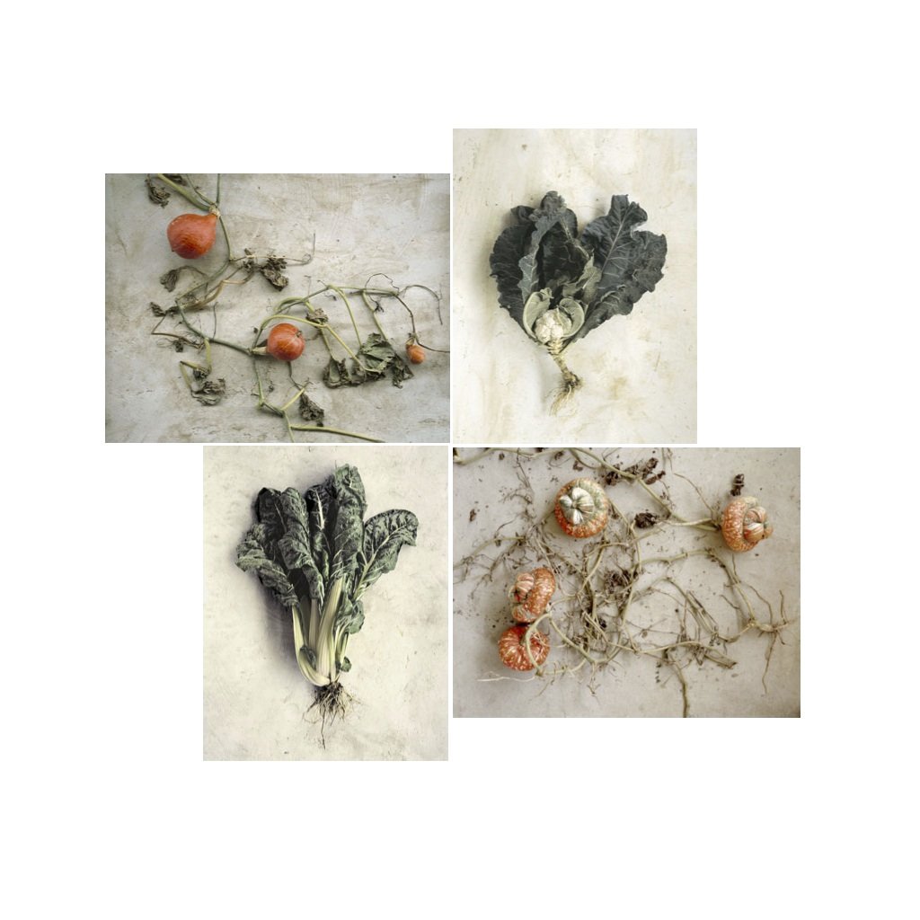 Les Douches La Galerie / Éditions Ville Ouverte SOON PARIS