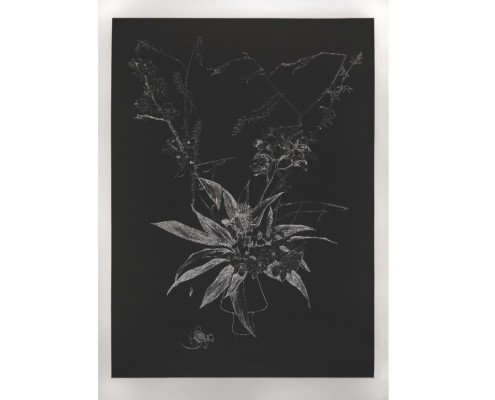 Anne Laure Sacriste, Ikebana aux branchages noirs Eau-forte imprimée en taille d’épargne 117 x 80 cm 10 ex. - vélin de Rives 800.- € -