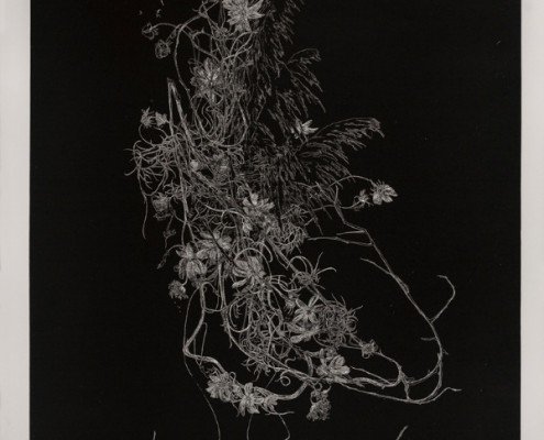 Anne Laure Sacriste, Ikebana aux branchages noirs Eau-forte imprimée en taille d’épargne 117 x 80 cm 10 ex. : vélin de Rives 800.- €