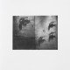 Damien Cadio, Roses in the Snow Lithographie 38 x 56 cm 20 ex. : vélin de Rives 350.- €