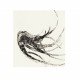 Maria Chillon, Au bout des doigts n°5 (détail), 2015, burin, 60x50cm ©Maria Chillon-Galerie Schumm-Braunstein-Editions GSB -